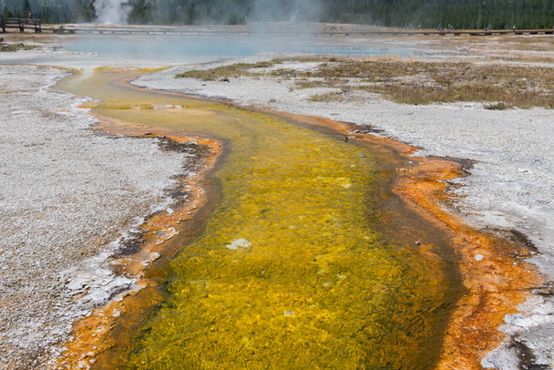 温泉から黄色の硫黄のトレイル - 写真・画像