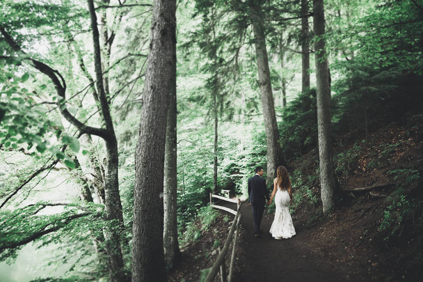 Happy wedding couple walking in a botanical park - Foto, imagen