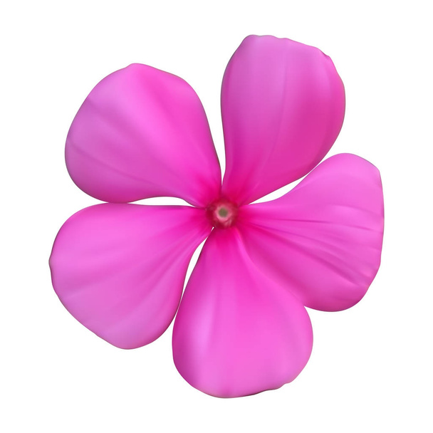 Isolated Colorful beautiful naturalistic Pink flower. Vector Ill - Vector, Image