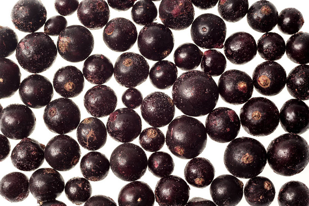 γλυκύτατος κατεψυγμένα μαύρα φραγκοστάφυλα που απομονώνονται σε λευκό φόντο, νόστιμα πρώτης κατηγορίας βιολογικά φρούτα ως έννοια καλοκαίρι βιταμινών - Φωτογραφία, εικόνα