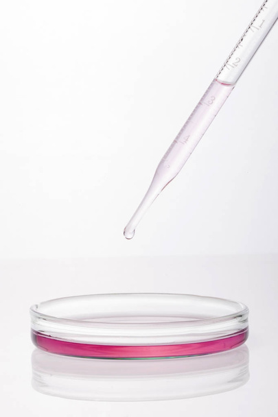 Chemical research in Petri dishes on isolated white background. Preparing plates in a microbiology laboratory. Inoculating plates. Vaccine ampoule. Top view.  - Valokuva, kuva