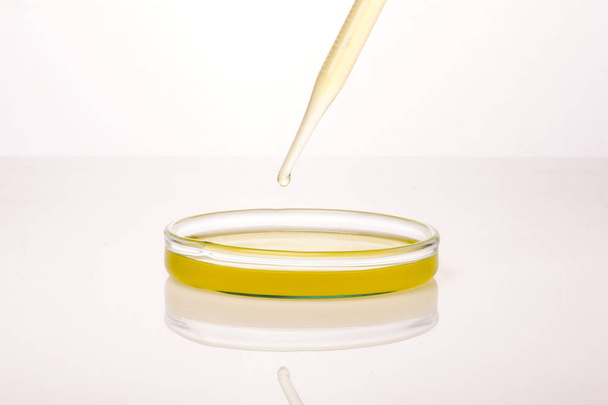 Chemical research in Petri dishes on isolated white background. Preparing plates in a microbiology laboratory. Inoculating plates. Vaccine ampoule. Top view.  - Φωτογραφία, εικόνα