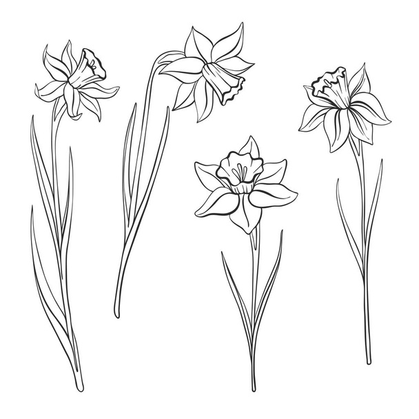 vector drawing flowers - Vektor, Bild