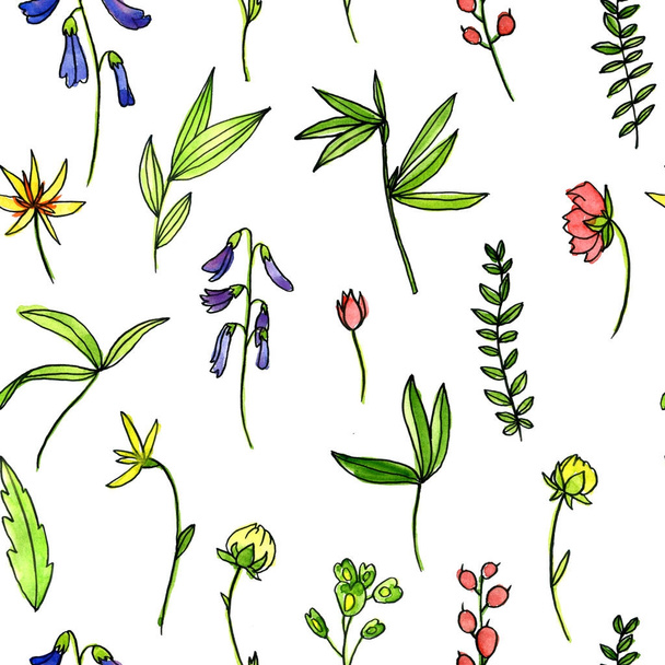 seamless pattern with plants and flowers - Foto, afbeelding