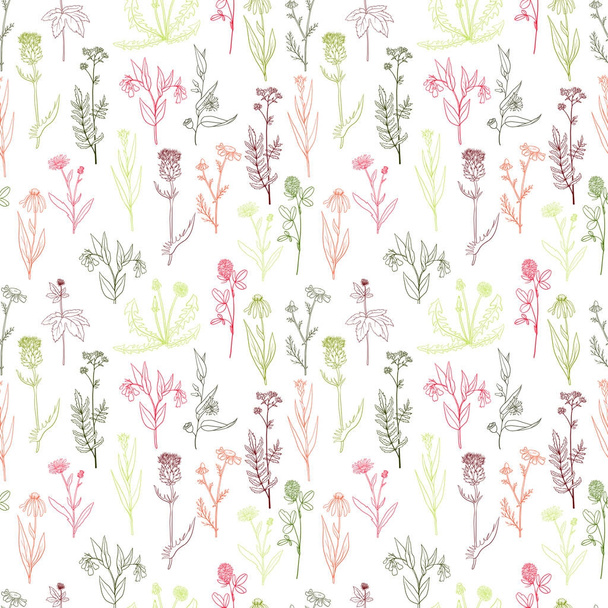 vector seamless pattern with medical plants - Vector, Image