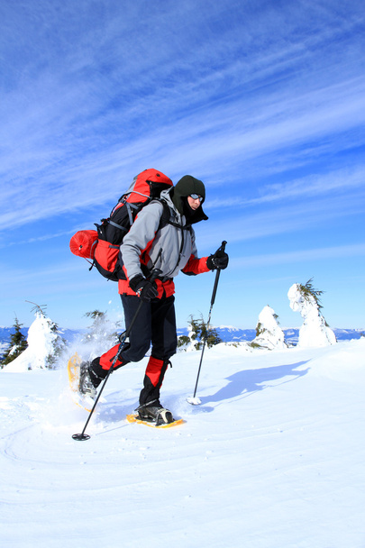 Winter hiking in snowshoes. - Foto, Imagen