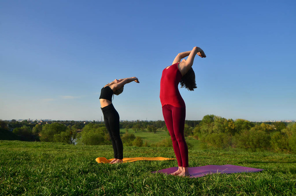 Zwei junge blonde Mädchen in Sportanzügen praktizieren abends Yoga auf einem malerischen grünen Hügel unter freiem Himmel. das Konzept der sportlichen Betätigung im Freien - Foto, Bild
