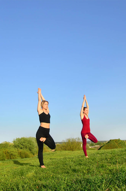 Duas jovens meninas de cabelos claros em ternos esportivos praticam ioga em uma pitoresca colina verde ao ar livre à noite. O conceito de exercício desportivo e estilos de vida saudáveis
 - Foto, Imagem