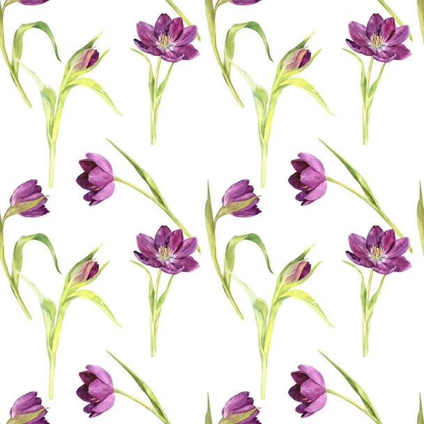 seamless pattern with watercolor purple tulips - Zdjęcie, obraz