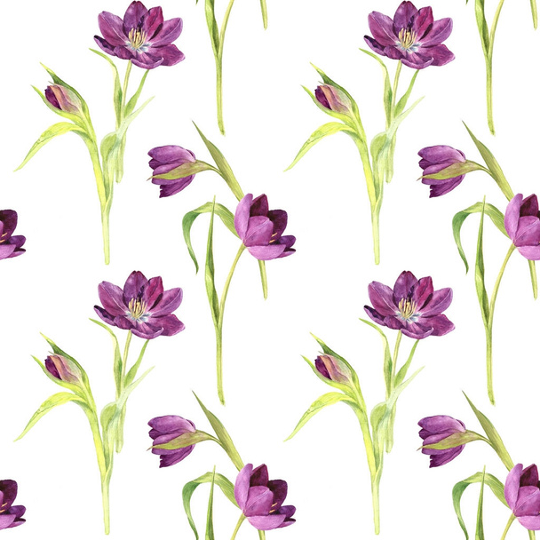 seamless pattern with watercolor purple tulips - Fotoğraf, Görsel