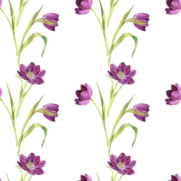 seamless pattern with watercolor purple tulips - Foto, Imagem