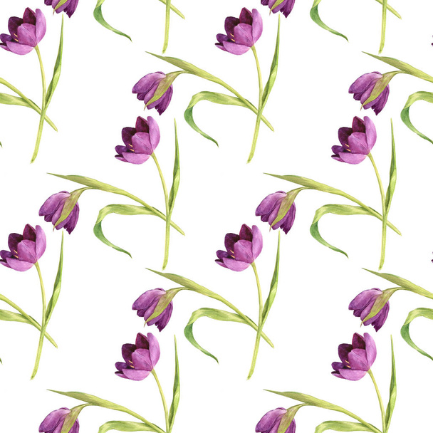 seamless pattern with watercolor purple tulips - Fotoğraf, Görsel