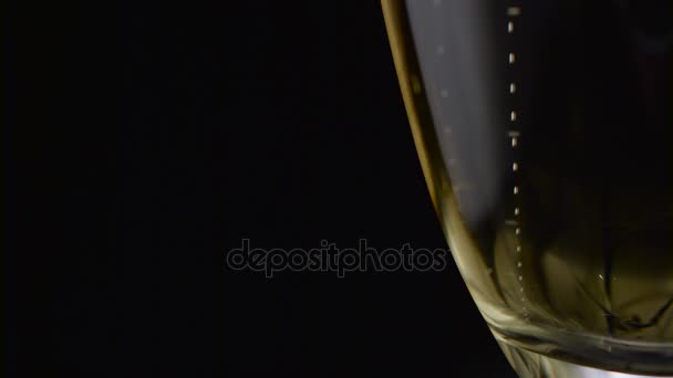 Close up of a glass of champagne. Black background - Felvétel, videó