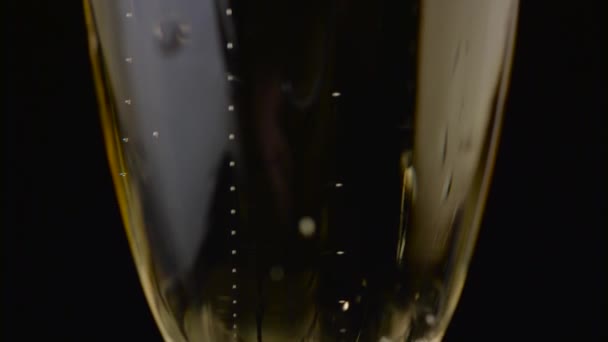 Bubbles of a sparkling drink rise up the glass. Black background. Close up - Filmati, video