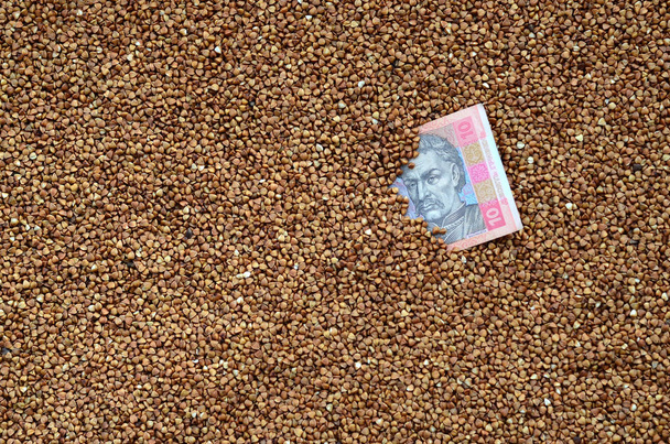 Background texture of a large pile of buckwheat, among which one can see a bill of one Ukrainian hryvnia. The concept of increasing prices for cereals in Ukraine - Photo, Image