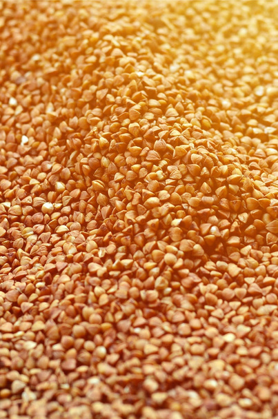 Background texture of a large pile of buckwheat. Many buckwheat grains close-up in daylight - Fotografie, Obrázek