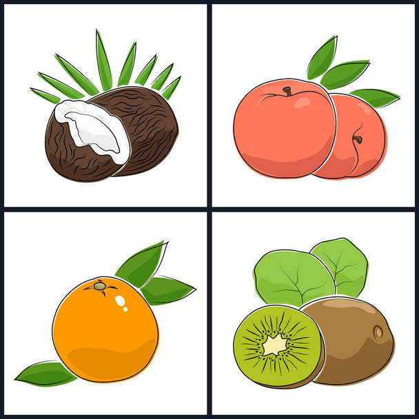 Grapefruit, barack, Kiwi, kókusz - Vektor, kép