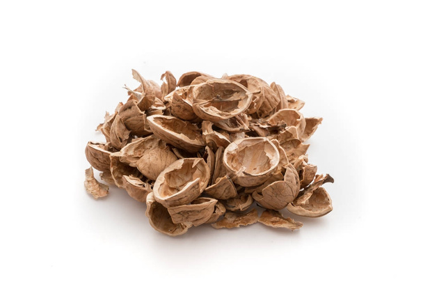 Pile of shells nutshells - Photo, Image
