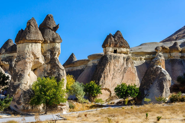 Cappadocia, Turkey. Fairy Chimney. Multihead stone mushrooms in the Valley of the Monks and St. Simon Church. Pasabag Valley - Foto, imagen