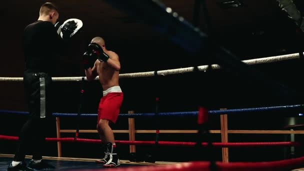 De bokser voert stoten op de poten. De opleiding van het boksen in de ring. Professionele sportuitrusting - Video