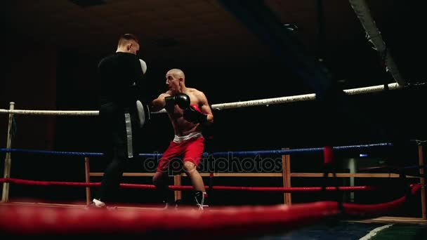 A bokszoló teljesíti ütés a mancsok. A ringben a boksz képzés. - Felvétel, videó