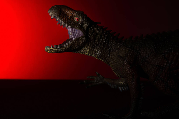 Carcharodontosaurus mit Spotlicht auf dem Kopf und rotem Licht auf dem Hintergrund - Foto, Bild