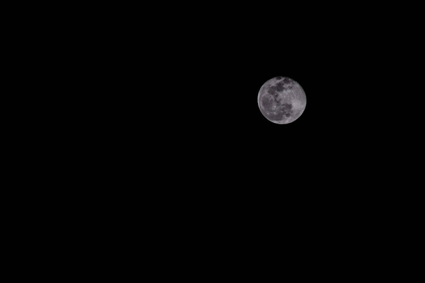 Foto della Luna nel cielo notturno - Foto, immagini