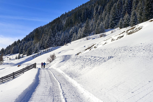 チロル アルプス冬の風景: 雪に覆われた丘の斜面に道路、二人が歩いています。 - 写真・画像