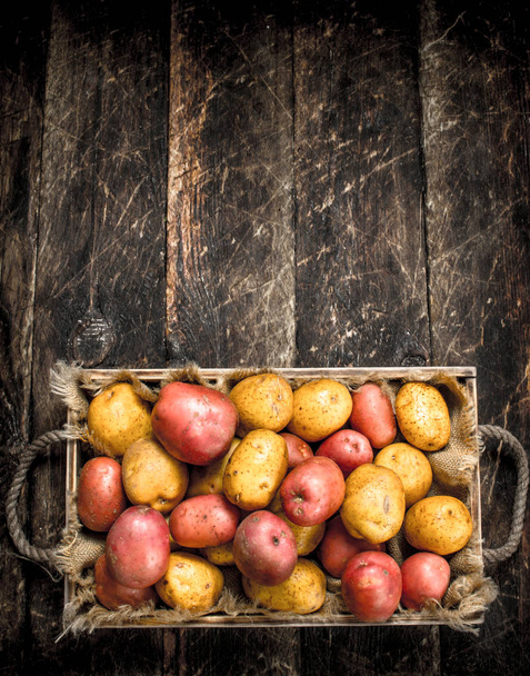 Fresh potatoes in an old tray. - 写真・画像