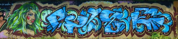 Le vieux mur, peint en dessin de graffiti de couleur avec des peintures en aérosol. Image du visage d'une fille informelle aux cheveux verts luxuriants
 - Photo, image