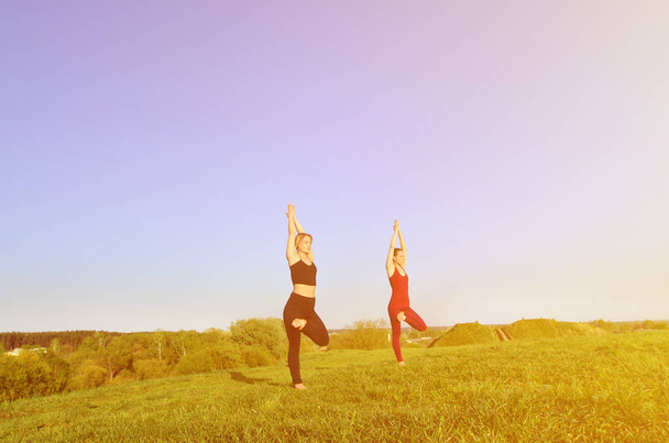 Deux jeunes filles aux cheveux blonds en costumes de sport pratiquent le yoga sur une colline verdoyante pittoresque en plein air le soir. Le concept d'exercice sportif et de modes de vie sains
 - Photo, image