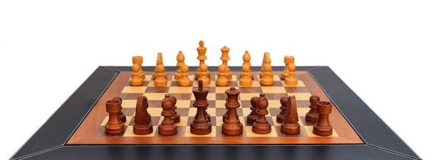 Дерев'яний шаховий набір. Шкіряна рамка, вид крупним планом, деталі, білий фон
. - Фото, зображення