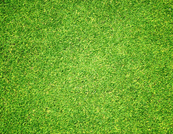 fond d'herbe Terrains de golf pelouse verte
 - Photo, image