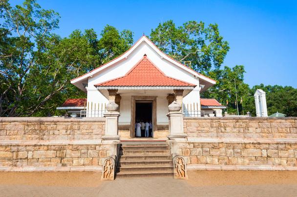 Jaya Sri Maha Bodhi Temple - Фото, зображення