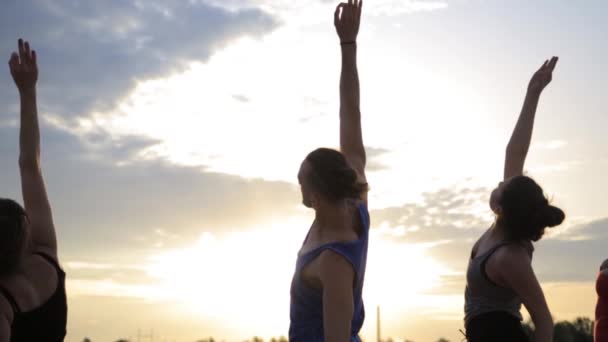 Smíšené rasy skupina lidí vykonávajících bojovník zdravého životního stylu fitness jóga - Záběry, video