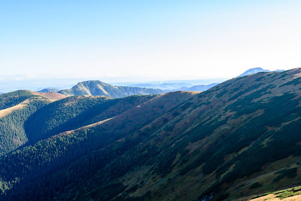 秋にスロバキア カルパチア山脈。合計で日当たりの良い丘トップ - 写真・画像