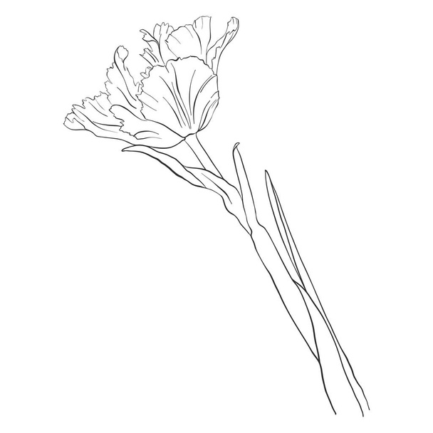 vector drawing flower - Vettoriali, immagini