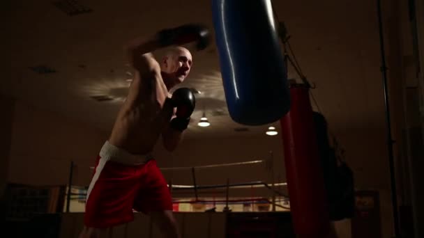 Een man in boksen kleding en handschoenen is opvallend harde klappen op de peer. - Video