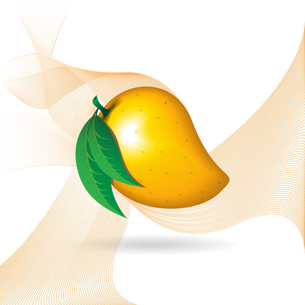 Mango gyümölcs kontúr absztrakt fehér háttér, narancs készségeket. Elérhető-ban a nagy felbontású jpeg a több méretben & szerkeszthető eps-fájlt, használható tapétát, minta, web, blog, felület, textúrák, grafikus & nyomtatás. - Vektor, kép