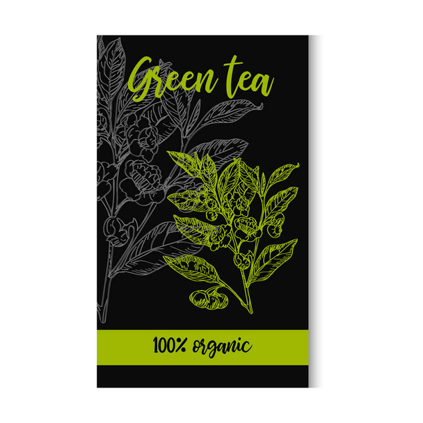 Vector drawn green tea with flowers in a sketch style on black background. Package design. - Vektori, kuva