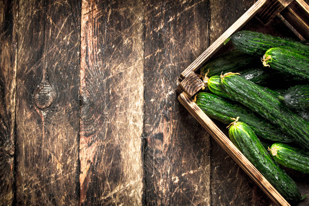 Fresh cucumbers in an old box. - Φωτογραφία, εικόνα