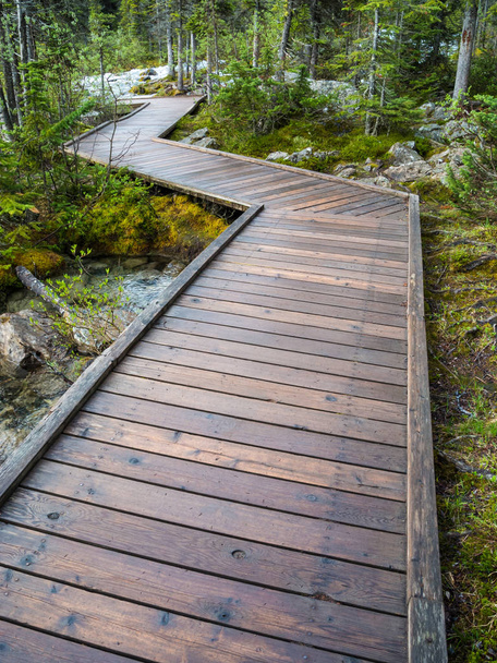 Wooden boardwalk at Morraine Lake, Banff National Park - Foto, Imagem