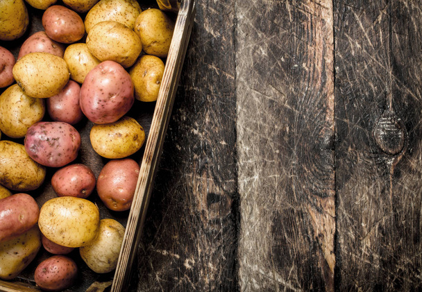 Fresh potatoes in an old box. - 写真・画像