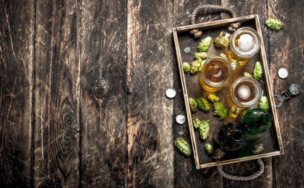 Cerveza fresca en vasos con lúpulo verde en una bandeja vieja
. - Foto, Imagen