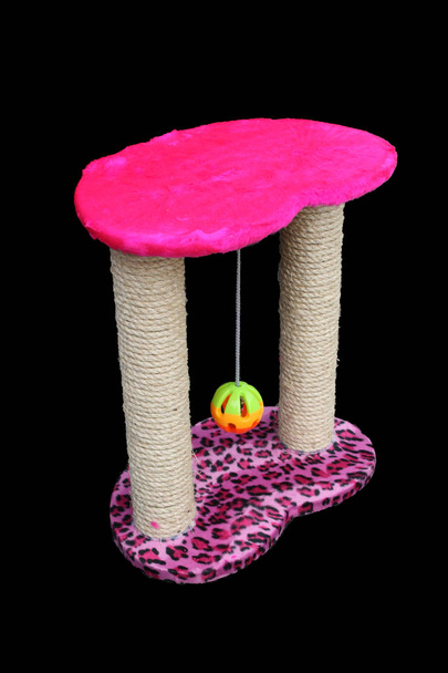 Pet supplies about Condo toys for cat - Photo, Image