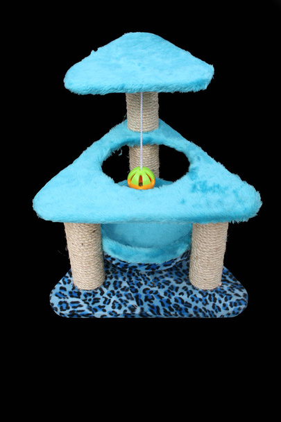 Condo toys for cat on black background. - Photo, Image