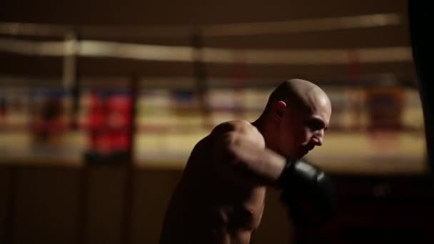 Een gepompt-up man in boksen schoenen en broek in de sportschool tegen de achtergrond van een boksring. - Video