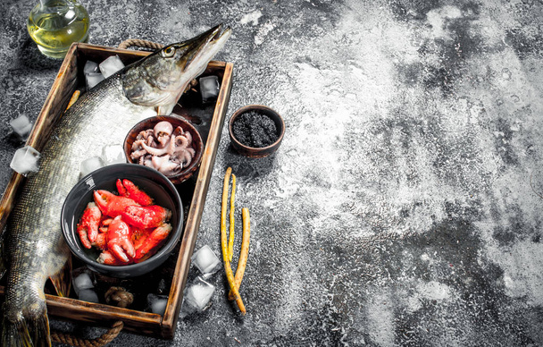 Different seafood on a wooden tray. - Photo, Image