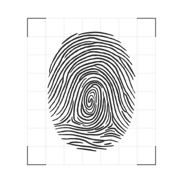 Huella dactilar - escaneo de identificación personal. Tecnología biométrica. Ilustración vectorial
 - Vector, Imagen