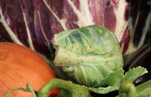 για χορτοφάγους πιάτο με λαχανάκια Βρυξελλών ραντίκιο και κρεμμύδι - Φωτογραφία, εικόνα